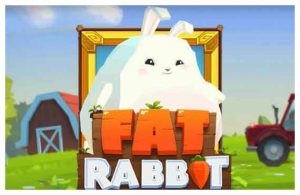 Fat Rabbit