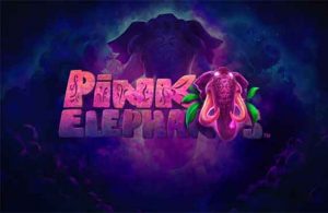 Pink Elephants